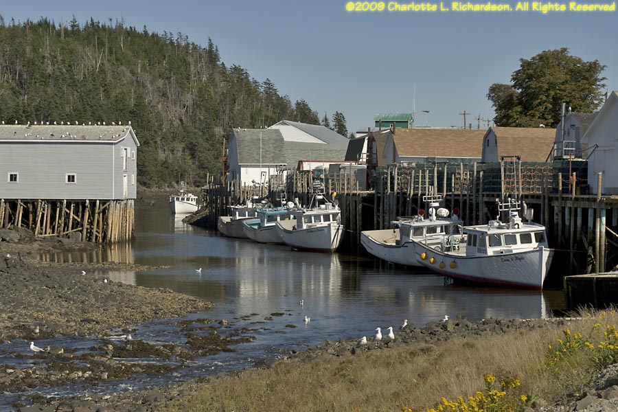 Nova Scotia Digby Neck Photo Gallery